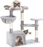 خرید درخت گربه وارداتی Hey-brother از آی بای