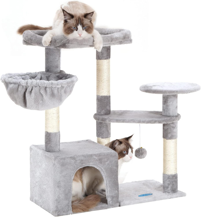 خرید درخت گربه وارداتی Hey-brother از آی بای