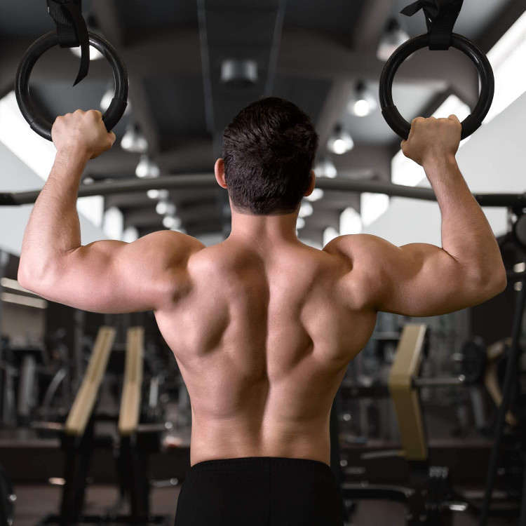 خرید حلقه ژیمناستیک وارداتی برای تمرین در خانه