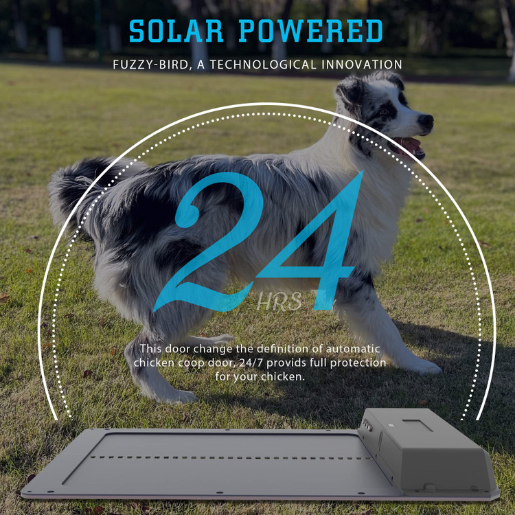 درب مرغداری خورشیدی با تایمر قابل تنظیم و نصب آسان