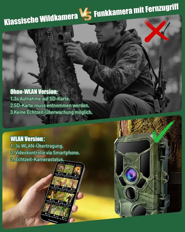 دوربین نظارتی محیطی با ثبت تصاویر دقیق حیوانات