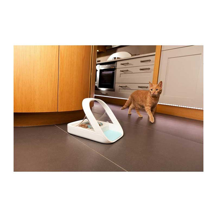 یک گربه در کنار ظرف اتوماتیک SureFeed.