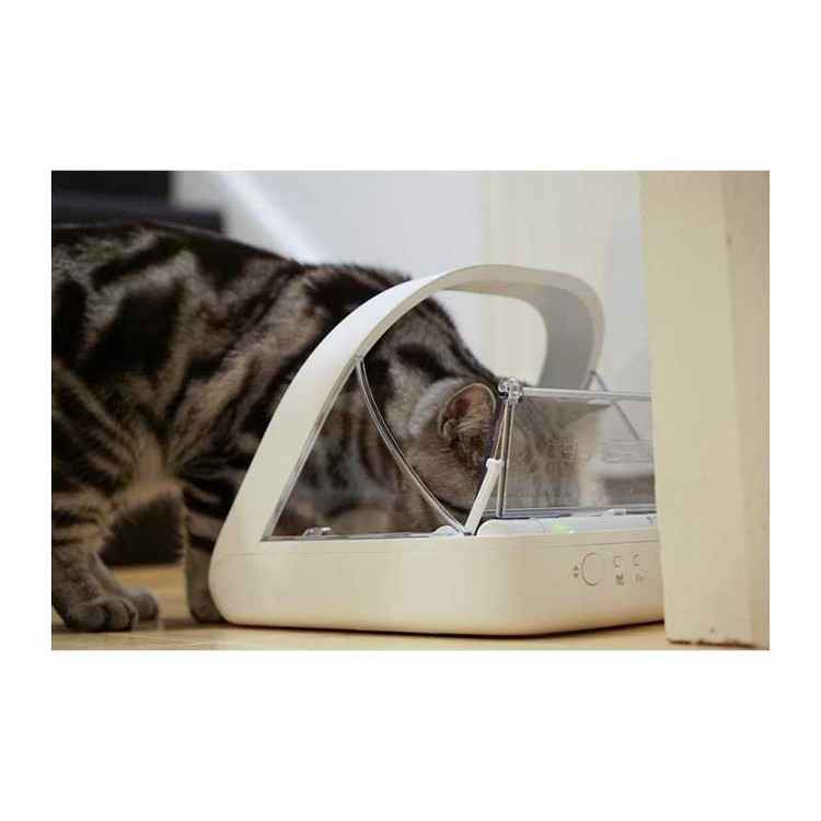 یک گربه در حال غذا خوردن از ظرف اتوماتیک SureFeed.