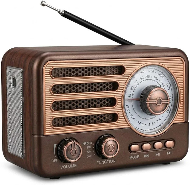 اسپیکر بلوتوثی قابل حمل Music Enjoy SG-31BT با رادیو FM