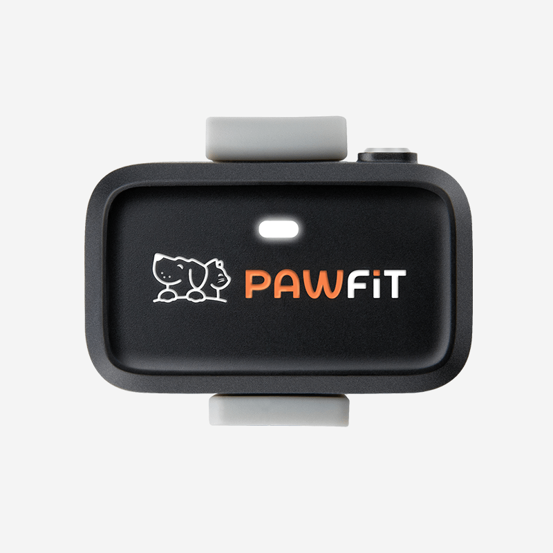 ردیاب GPS هوشمند Pawfit Lite برای سگ با 4G LTE و Geofence