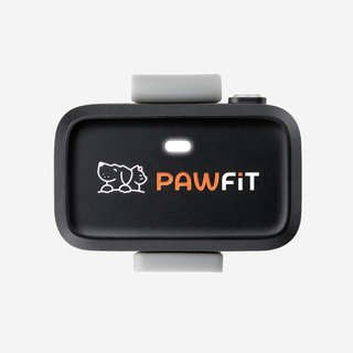 ردیاب GPS هوشمند Pawfit Lite برای سگ با 4G LTE و Geofence